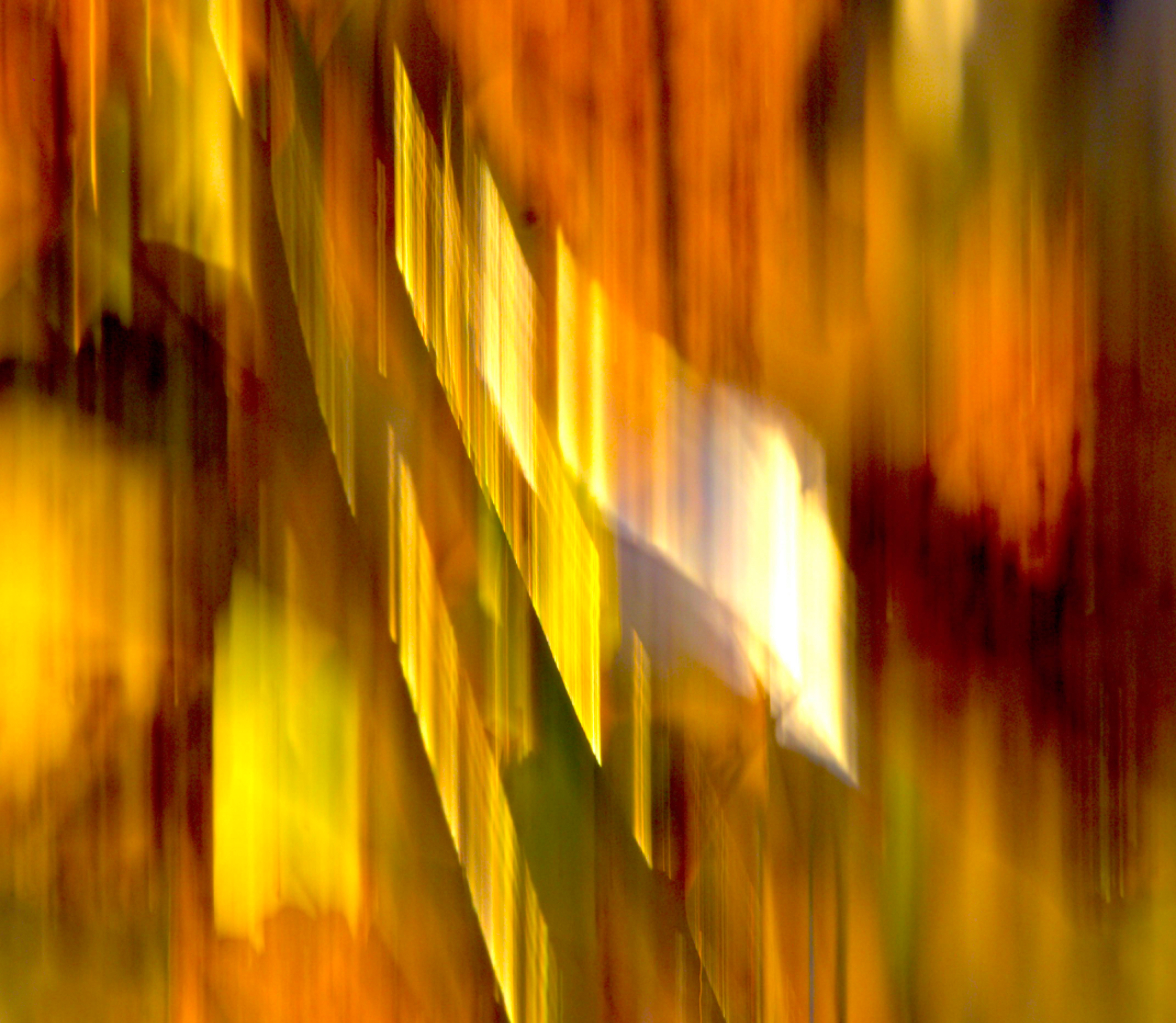 Vegetation blur 2